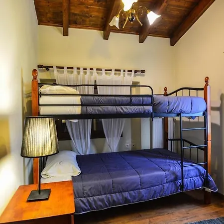 Evergreen Synikia Mesi Trikalon