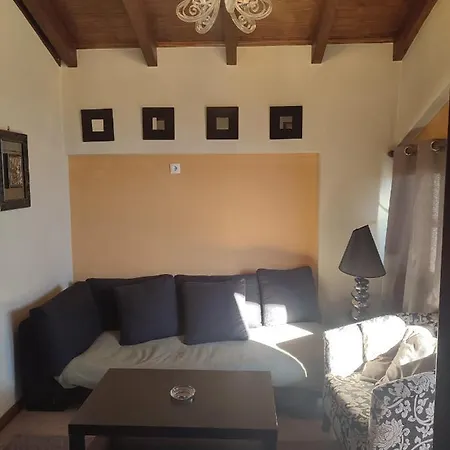 Evergreen Synikia Mesi Trikalon