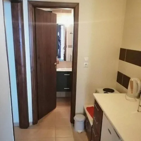 Evergreen Synikia Mesi Trikalon