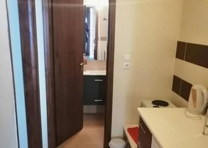 Evergreen Synikia Mesi Trikalon